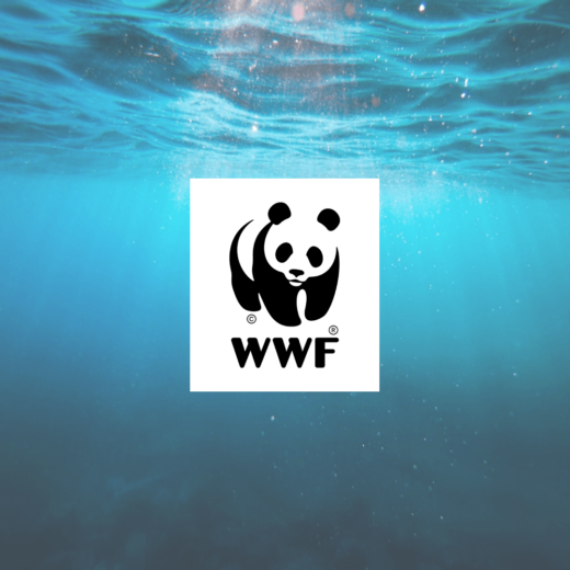 WWF Logo Final