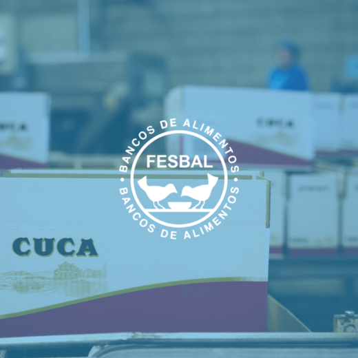 Logo FESBAL Final