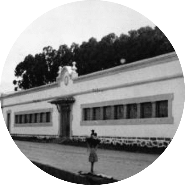 history-2